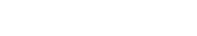 Bison Cash Logo